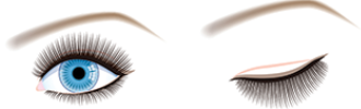 Extensions de cils pose classique