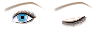 Extensions de cils pose découverte
